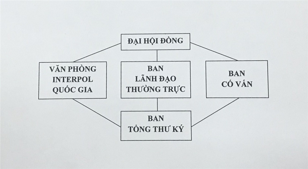 Cơ cấu tổ chức của INTERPOL.