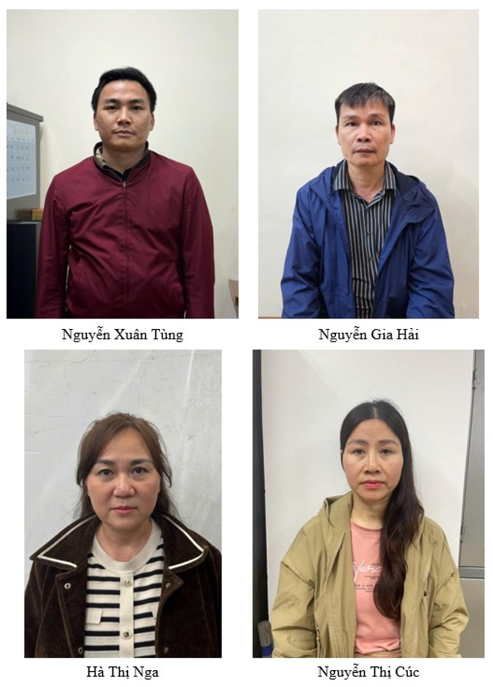 Các bị can bị khởi tố, bắt tạm giam.