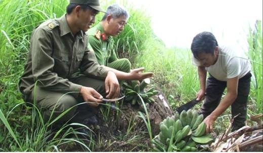 Giúp đỡ người được tha tù làm ăn, phát triển kinh tế.