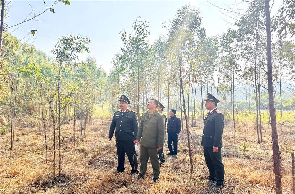 Cán bộ Phòng An ninh nội địa cùng anh Tống Văn Xuân kiểm tra công tác bảo đảm ANTT quanh khu rừng của xã Lục Sơn.