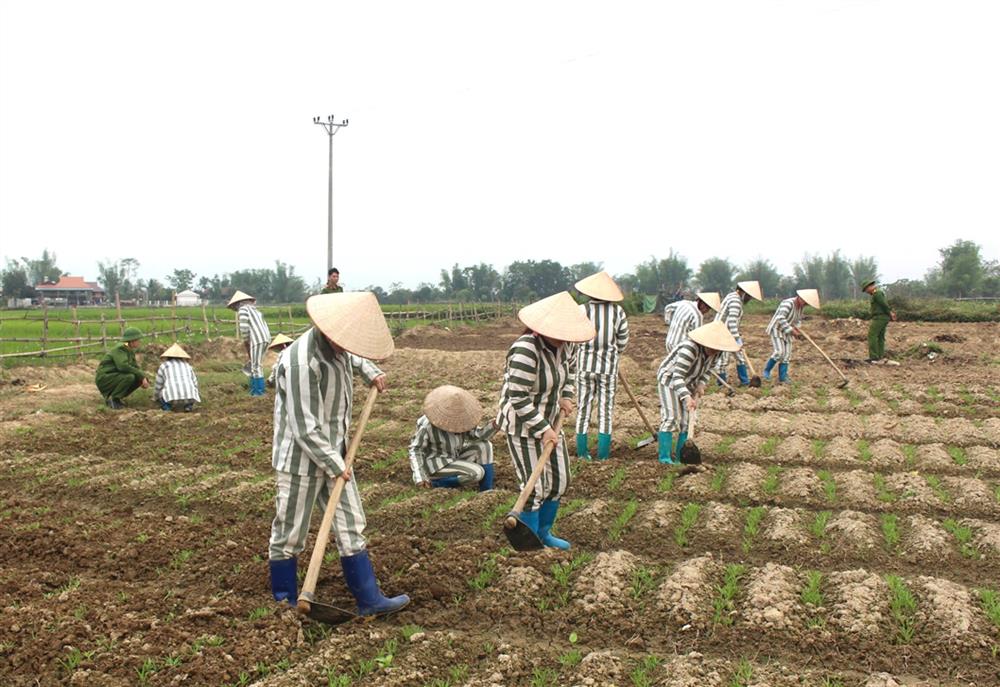 Phạm nhân đang tích cực lao động cải tạo.