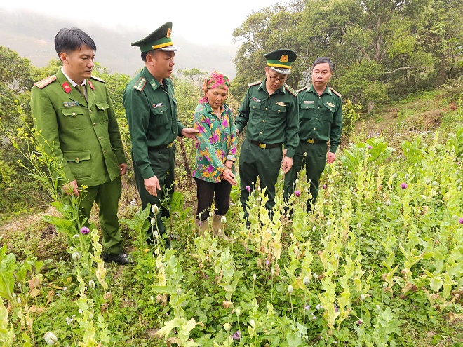 Đối tượng Ly Thị Chua cùng số cây thuốc phiện tại thời điểm lực lượng chức năng phát hiện.