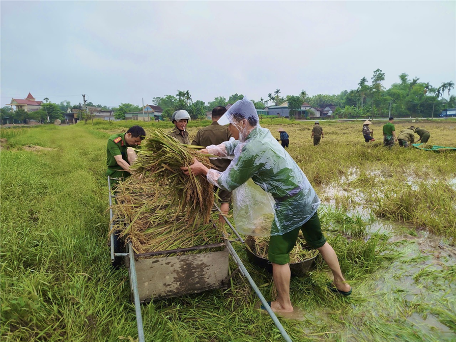 Lực lượng Công an hỗ trợ bà con vận chuyển lúa về nhà.