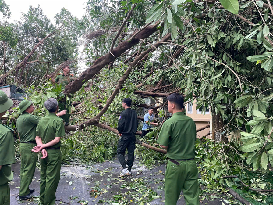 Cán bộ, chiến sĩ CSCĐ dọn dẹp cây gãy đổ, làm thông thoáng đường phố.