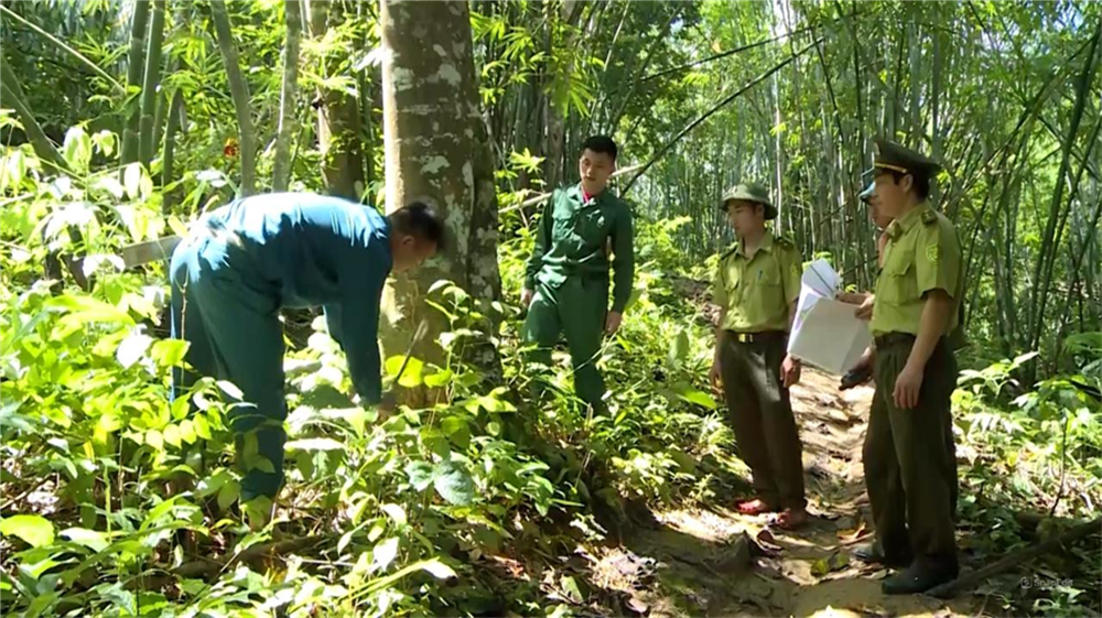 Tăng cường các biện pháp phòng cháy, chữa cháy rừng mùa nắng nóng.