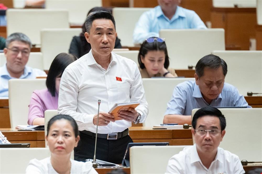 Đại biểu Quốc hội Nguyễn Hải Anh.