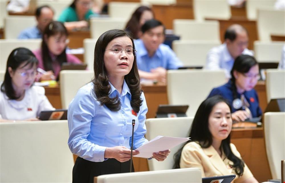 Đại biểu Quốc hội Vũ Hồng Luyến
